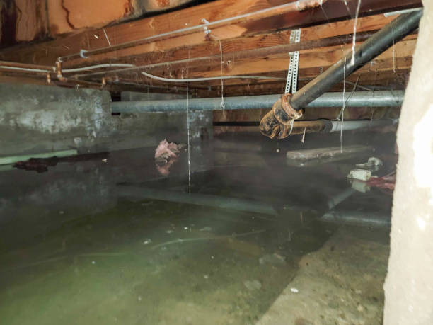 Water damage restoration mold remediation in PA