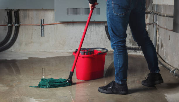 Best 24/7 water damage repair  in East Pittsburgh, PA